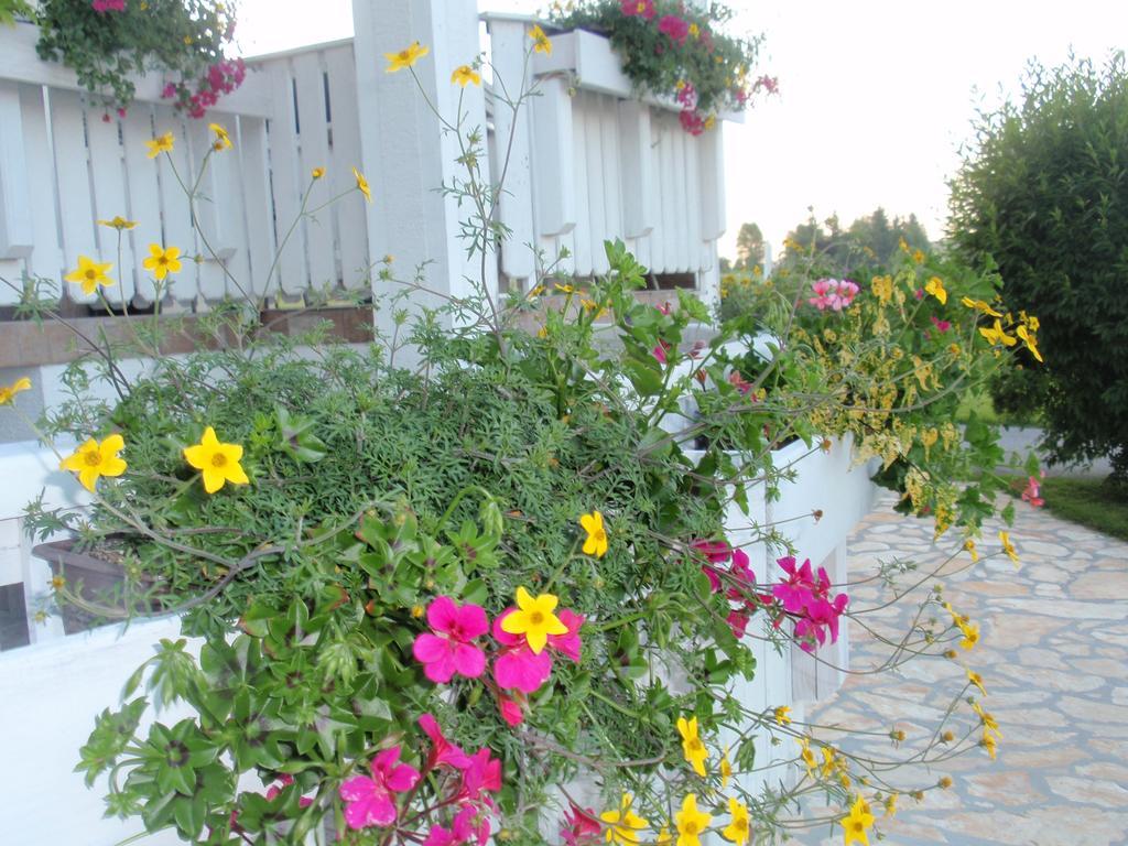 House Zupan Hotel Rakovica Kültér fotó